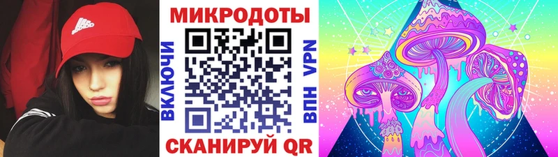 Купить  Бавлы  Галлюциногенные грибы Psilocybine cubensis 